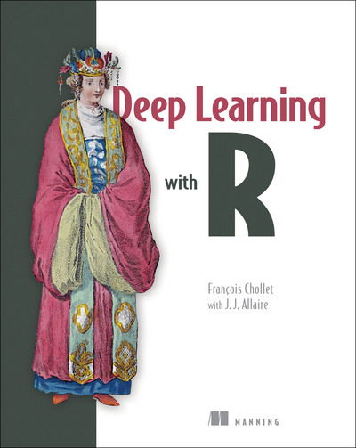 Cover for Joseph Allaire · Deep Learning with R (Paperback Book) (2018)