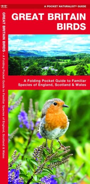 Cover for James Kavanagh · Great Britain Birds: A Folding Pocket Guide to Familiar Species of England, Scotland &amp; Wales - Wildlife and Nature Identification (Pamphlet) [2nd edition] (2020)