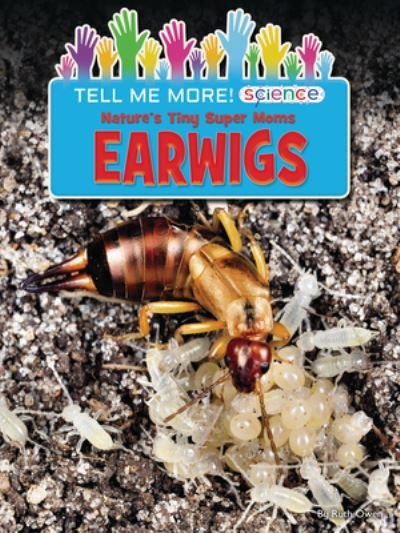 Cover for Ruth Owen · Nature's Tiny Super Moms Earwigs (Hardcover Book) (2023)