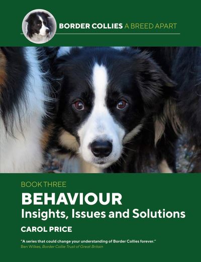 Behaviour: INsights, Issues and Solutions - Border Collies: A Breed Apart - Carol Price - Kirjat - First Stone Publishing - 9781910488546 - keskiviikko 22. tammikuuta 2020