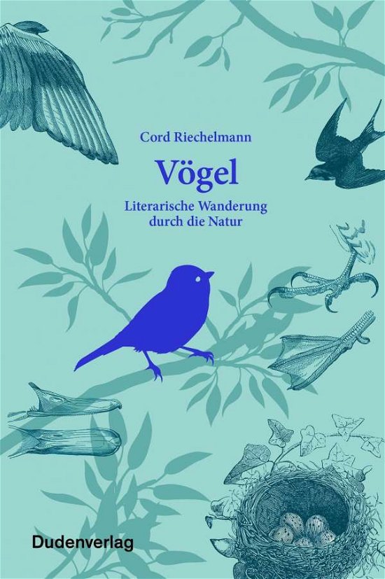 Riechelmann:Vögel - Riechelmann - Bücher -  - 9783411710546 - 21. März 2024