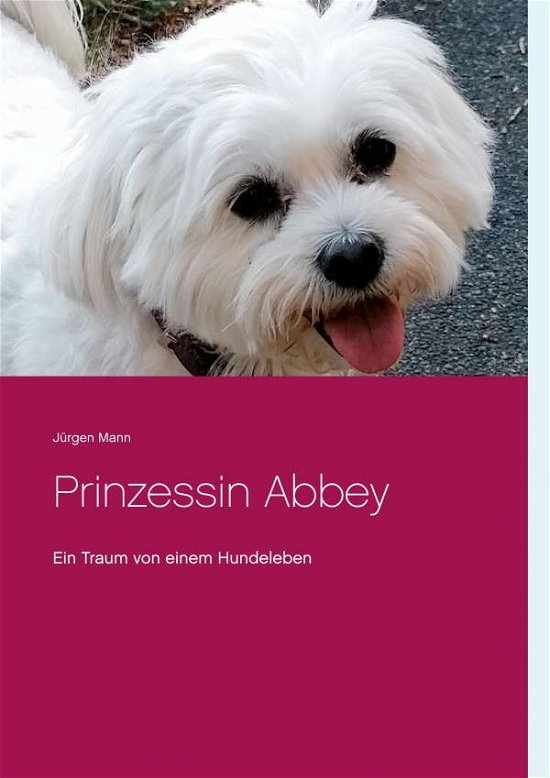 Cover for Mann · Prinzessin Abbey (Bog)