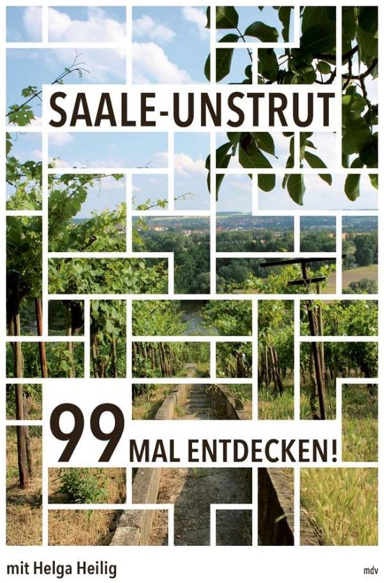 Cover for Heilig · Saale-Unstrut (Book)