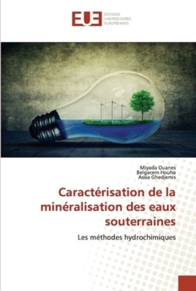 Cover for Miyada Ouanes · Caracterisation de la mineralisation des eaux souterraines (Paperback Bog) (2021)
