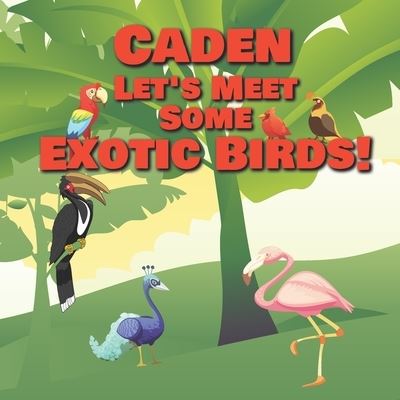 Cover for Chilkibo Publishing · Caden Let's Meet Some Exotic Birds! (Paperback Bog) (2020)