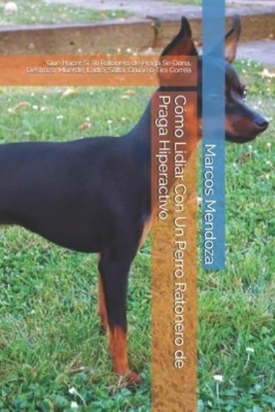 Cover for Marcos Mendoza · Como Lidiar Con Un Perro Ratonero de Praga Hiperactivo (Taschenbuch) (2021)
