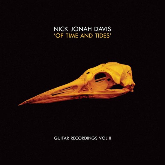 Of Time & Tides - Nick Jonah Davis - Music - TOMPKINS SQUARE - 0894807002547 - June 30, 2011