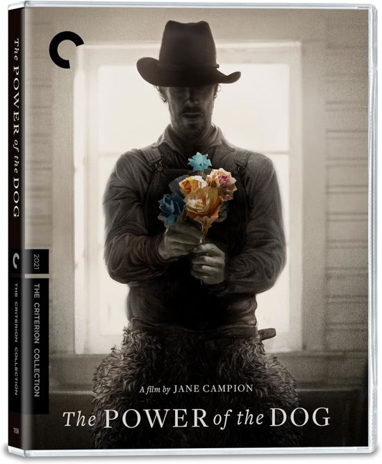 Cover for The Power Of The Dog - Criterion Collection (4K Ultra HD) (2024)