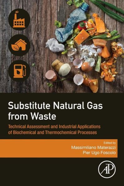 Cover for Marco Materazzi · Substitute Natural Gas from Waste: Technical Assessment and Industrial Applications of Biochemical and Thermochemical Processes (Paperback Book) (2019)