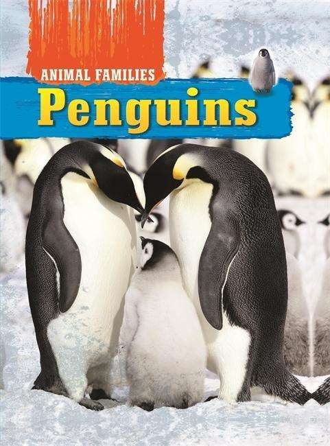 Cover for Tim Harris · Animal Families: Penguins - Animal Families (Hardcover Book) (2014)