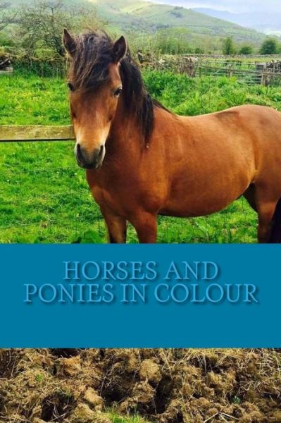 Cover for C Cartmell · Horses and Ponies in Colour (Paperback Book) (2016)