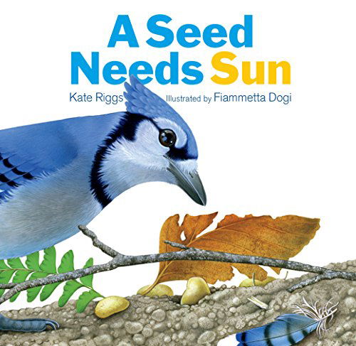 Cover for Kate Riggs · A Seed Needs Sun (Board book) [Brdbk edition] (2014)