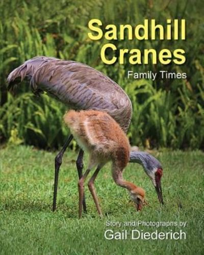 Cover for Gail Diederich · Sandhill Cranes, Family Times (Paperback Book) (2016)