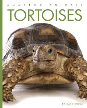 Tortoises - Kate Riggs - Books - Creative Company, The - 9781640265547 - July 15, 2022