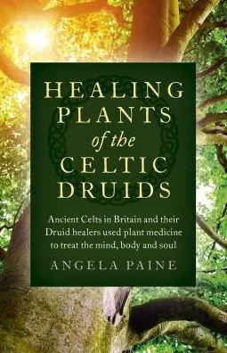 Cover for Angela Paine · Healing Plants of the Celtic Druids: Ancient Celts in Britain and their Druid healers used plant medicine to treat the mind, body and soul (Paperback Book) (2018)