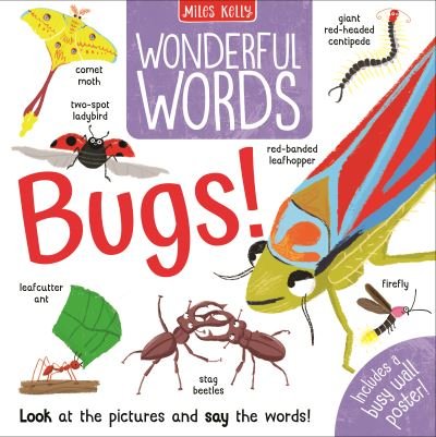 Cover for Amy Johnson · Wonderful Words: Bugs! (Innbunden bok) (2022)