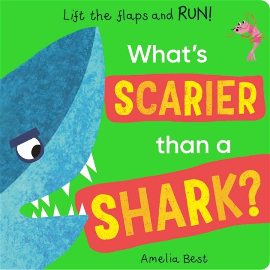 Cover for Becky Davies · What's Scarier than a Shark? - What's Scarier Than a (Board book) (2023)