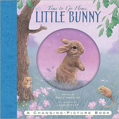 Cover for Emily Hawkins · Time to Go Home Little Bunny (Hardcover Book) (2010)