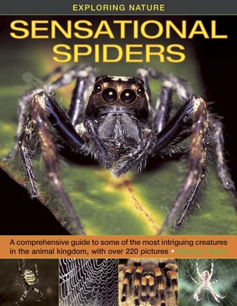 Cover for Barbara Taylor · Exploring Nature: Sensational Spiders: A Comprehensive Guide to Some of the Most Intriguing Creatures in the Animal Kingdom, with Over 220 Pictures (Hardcover bog) (2013)