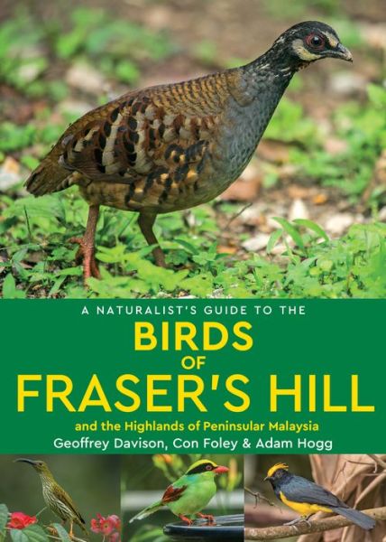 Cover for Geoffrey Davison · A Naturalist's Guide to the Birds of Fraser's Hill &amp; the Highlands of Peninsular Malaysia - Naturalist's Guide (Paperback Book) (2019)