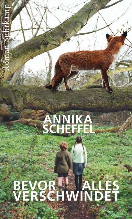 Cover for Annika Scheffel · Scheffel:bevor Alles Verschwindet (Book)