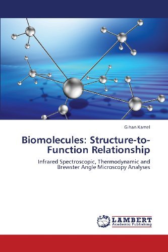 Cover for Gihan Kamel · Biomolecules: Structure-to-function Relationship: Infrared Spectroscopic, Thermodynamic and Brewster Angle Microscopy Analyses (Taschenbuch) (2013)