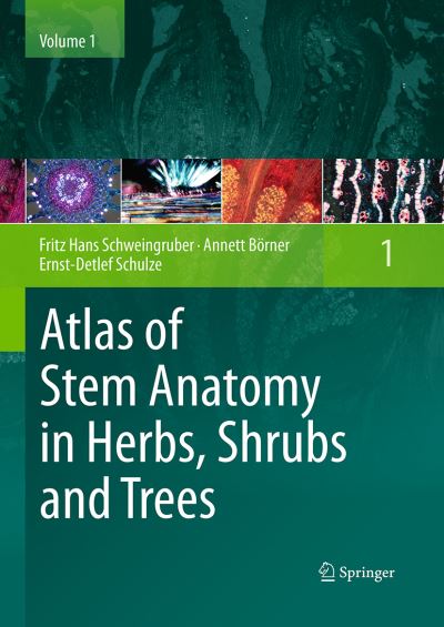 Cover for Fritz Hans Schweingruber · Atlas of Stem Anatomy in Herbs, Shrubs and Trees: Volume 1 (Paperback Bog) [Softcover reprint of the original 1st ed. 2011 edition] (2016)