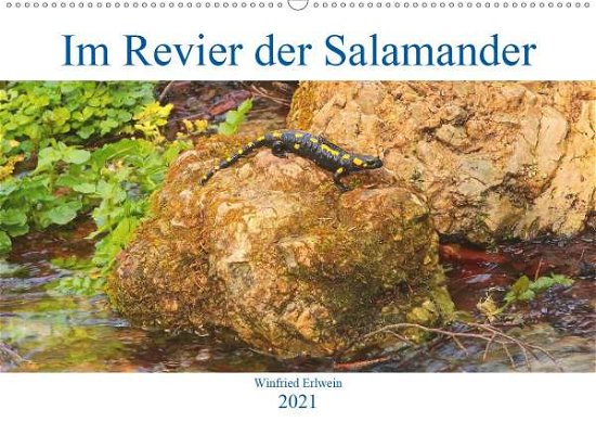 Cover for Erlwein · Im Revier der Salamander (Wandk (Book)