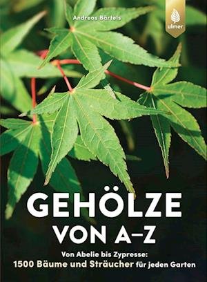 Cover for Andreas Bärtels · Gehölze von A-Z (Book) (2023)