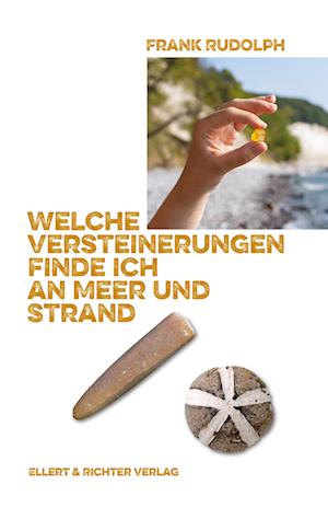 Welche Versteinerungen finde ich an Meer und Strand - Frank Rudolph - Livros - Ellert & Richter - 9783831908547 - 11 de abril de 2024