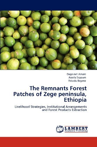 Cover for Fekadu Beyene · The Remnants Forest Patches of Zege Peninsula, Ethiopia: Livelihood Strategies, Institutional Arrangements and Forest Products Extraction (Taschenbuch) (2012)