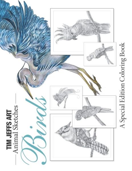 Cover for Tim Jeffs · Birds: A Special Edition Coloring Book - Animal Sketches (Taschenbuch) (2021)