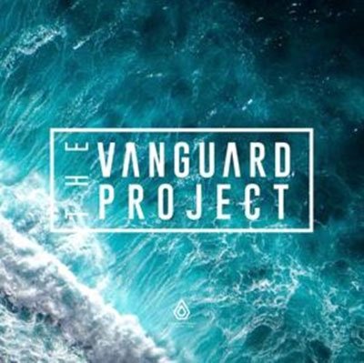 Stitches / What U Do Remixes - Vanguard Project - Musikk - SPEARHEAD RECORDS LI - 5051142009548 - 14. januar 2022