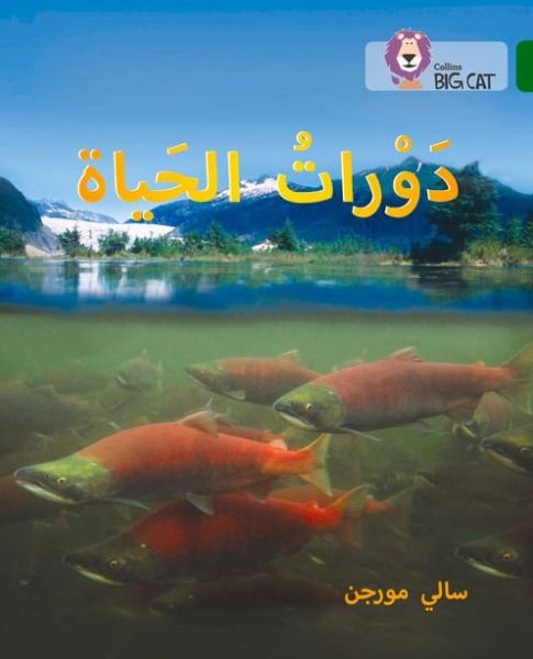 Cover for Sally Morgan · Life Cycles: Level 15 - Collins Big Cat Arabic Reading Programme (Paperback Bog) (2015)