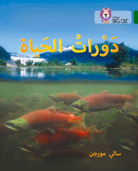 Cover for Sally Morgan · Life Cycles: Level 15 - Collins Big Cat Arabic Reading Programme (Taschenbuch) (2015)