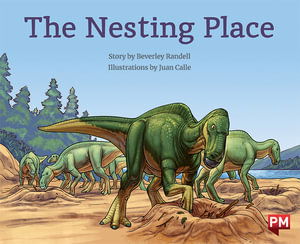 Cover for Beverley Randell · Nesting Place (Paperback Book)