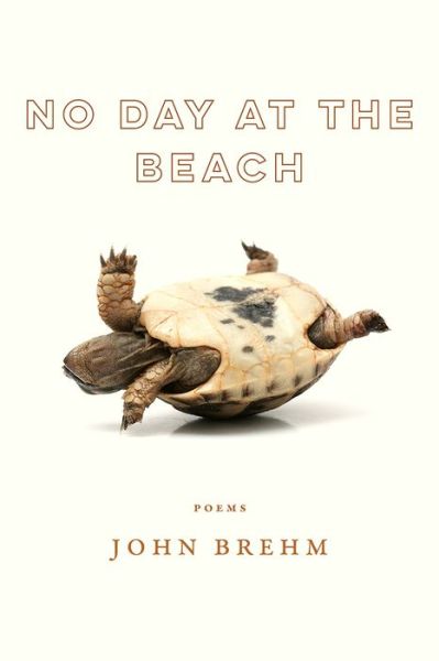 Cover for John Brehm · No Day at the Beach - Wisconsin Poetry Series (Paperback Book) (2020)