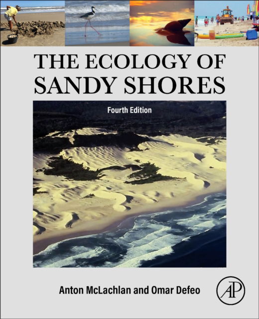 Defeo, Omar (Faculty of Sciences, Montevideo, Uruguay) · The Ecology of Sandy Shores (Paperback Book) (2024)