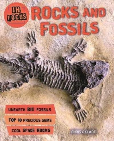 Cover for Chris Oxlade · In Focus: Rocks and Fossils - In Focus (Paperback Bog) (2018)