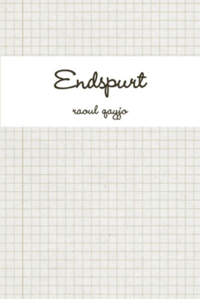 Cover for Raoul Qayjo · Endspurt (Book) (2012)