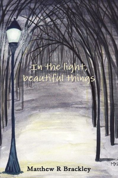 Cover for Matthew R Brackley · In the Light,beautiful Things (Paperback Bog) (2014)