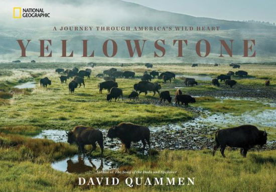Yellowstone: A Journey Through America's Park - David Quammen - Livres - National Geographic Society - 9781426217548 - 23 août 2016