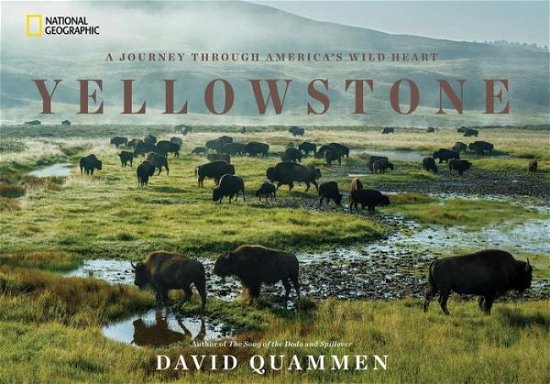 Yellowstone: A Journey Through America's Park - David Quammen - Livros - National Geographic Society - 9781426217548 - 23 de agosto de 2016