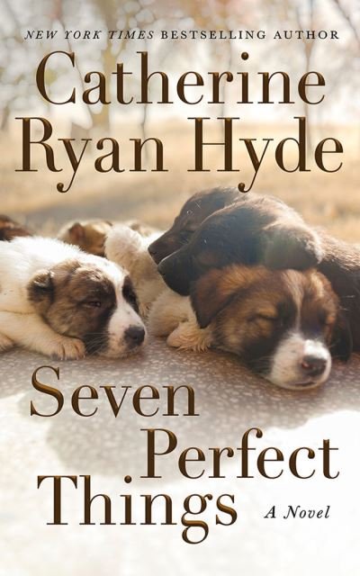 Cover for Catherine Ryan Hyde · Seven Perfect Things: A Novel (Paperback Book) (2021)
