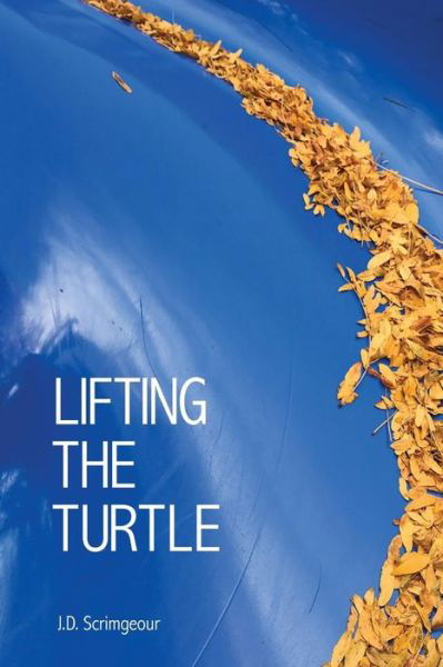 Cover for J D Scrimgeour · Lifting the Turtle (Paperback Book) (2017)