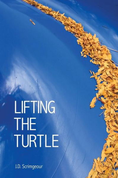 Lifting the Turtle - J D Scrimgeour - Książki - Turning Point - 9781625492548 - 17 października 2017