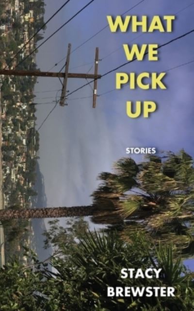 Cover for Stacy Brewster · What We Pick Up (Paperback Book) (2021)