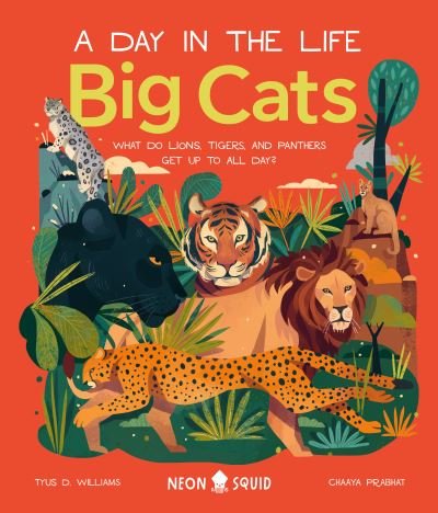 Cover for Tyus Neon Squid · Big Cats (A Day in the Life): What Do Lions, Tigers and Panthers Get up to all day? - A Day In The Life (Hardcover Book) (2022)