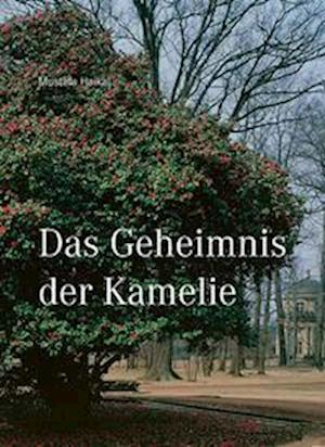 Cover for Mustafa Haikal · Das Geheimnis der Kamelie (Paperback Book) (2022)