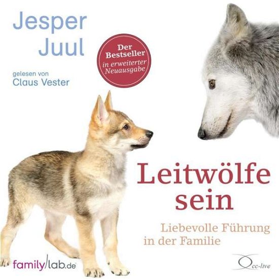 Cover for Juul · Leitwölfe sein (Bok)